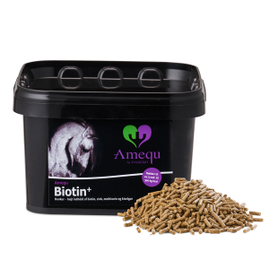 Amequ by Dangro Biotin+ – 1,5 kg.