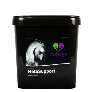 Amequ by Dangro MetaSupport – 3 kg.