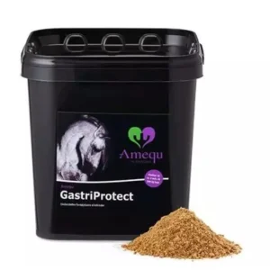 Amequ by Dangro Omega Gastriprotect 3 kg.