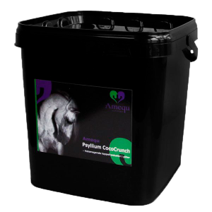 Amequ by Dangro Psyllium CocoCrunch – 3 kg.