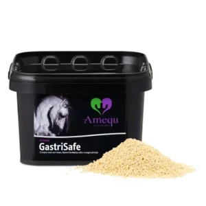 Amequ GastriSafe 1,5 kg