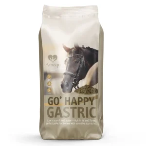 Amequ GO Happy Gastric 15 kg
