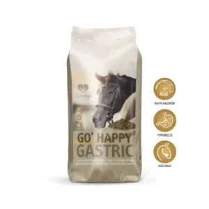 Amequ GO’ Happy Gastric 15 kg