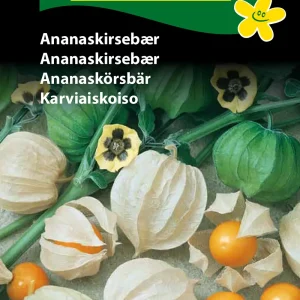 Ananaskirsebær (F) 1213
