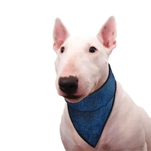 Aqua CoolKeeper Køle Bandana Til Hund Pacific Blue