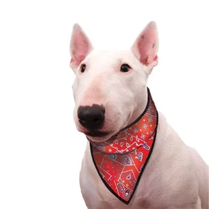 Aqua CoolKeeper Køle Bandana Til Hunden Red Western