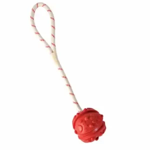 Aqua Toy bold m. reb – Ø4,5 cm.