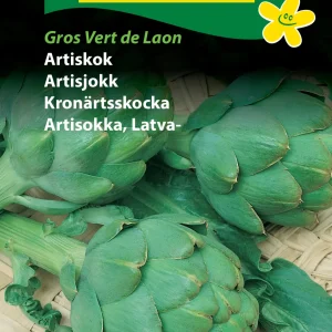 Artiskok, Gros vert de Laon (D) 1214