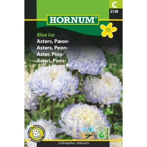 Asters, Pæon-, Blue Ice ( C) 2126