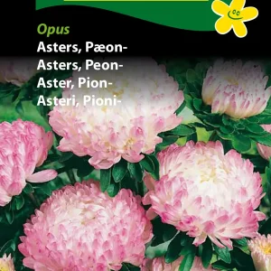 Asters, Pæon-, Opus (D) 1797