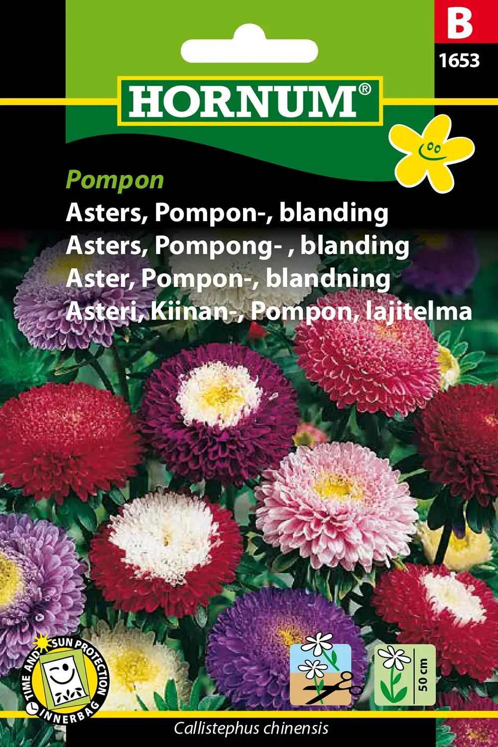 Asters, Pompon-, blanding, Pompon (B) 1653