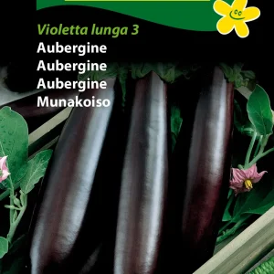Aubergine, Violetta lunga 3 ( C) 1403