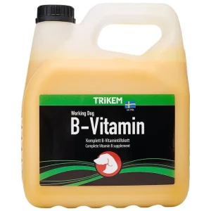 B-vitamin 3 l