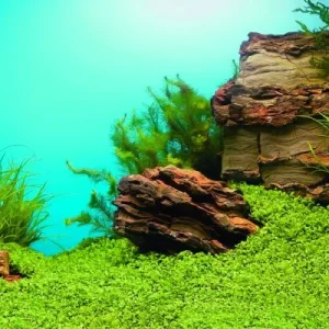 Baggrundsfolie2 motiver 100 x 50 cm