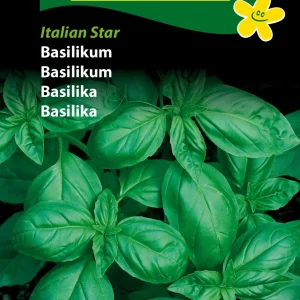 Basilikum, grøn, Italian Star ( C) 1101