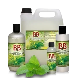 B&B Økologisk 2i1 LemonBalm Shampoo