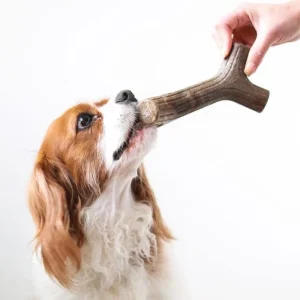 Benebone Maplestick Nylon Tyggeben MEDIUM