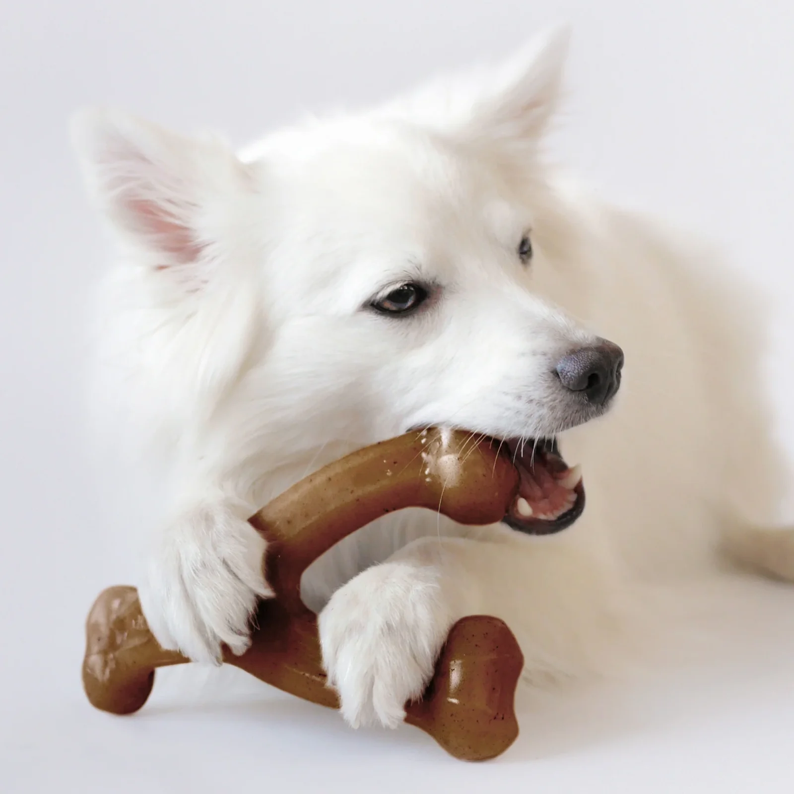 Benebone Wishbone bacon - Image 2