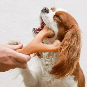 Benebone Wishbone Tyggeben Kylling Small