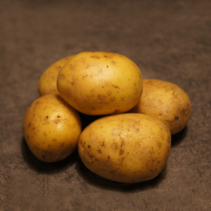 Bintje læggekartofler – 1,5 kg.