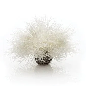 biOrb akvarieplante hvid, sea lily