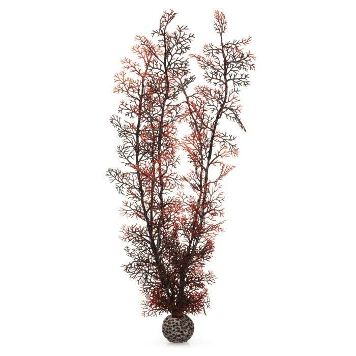 Biorb akvarieplante Sea Fan brun / X-Large