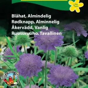 Blåhat, almindelig (D) 1891