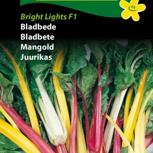 Bladbede, Bright Lights F1 ( C) 1216