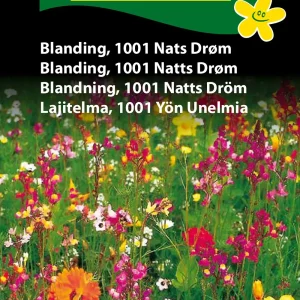 Blanding, 1001 Nats Drøm (D) 1655