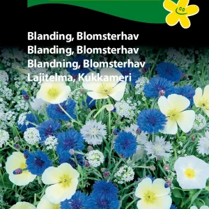 Blanding, Blomsterhav (D) 1826