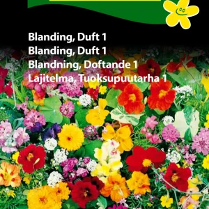 Blanding, Duft 1 (D) 1827