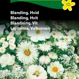 Blanding, Hvid (D) 1663
