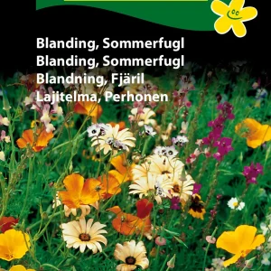 Blanding, Japansk (F) 1674