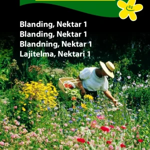 Blanding, Nektar 1 (F) 1666