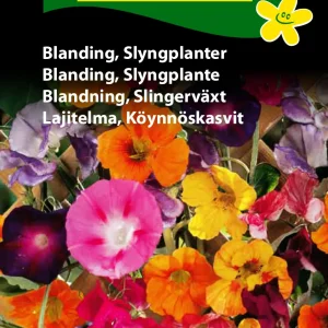 Blanding, Slyngplanter (D) 1672
