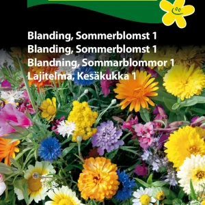 Blanding, Sommerblomst 1 ( C) 1828