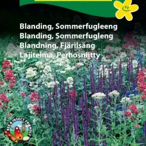 Blanding, Sommerfugleeng ( E) 1887