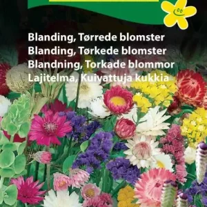 Blanding, tørrede blomster (D) 1888