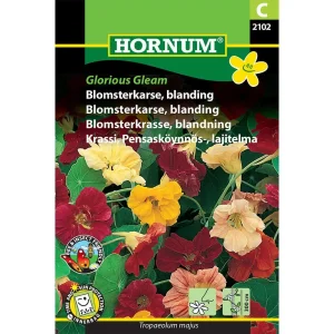 Blomsterkarse, blanding, Glorious Gleam (C) 2102