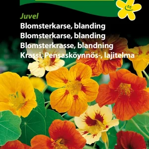 Blomsterkarse, blanding, Juvel (B) 1799