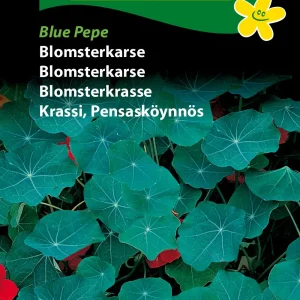 Blomsterkarse, Blue Pepe (D) 1144