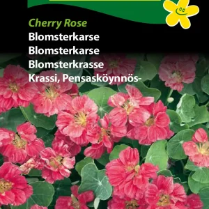 Blomsterkarse, Cherry Rose (D) 1798