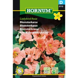 Blomsterkarse, Ladybird Rose (D) 2112