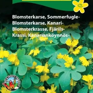 Blomsterkarse, Sommerfugle (D) 1890