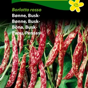 Bønne, Busk-, Borlotto rosso (D) 1220