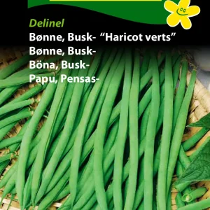 Bønne, Busk-, Harricot Verts (F) 1223