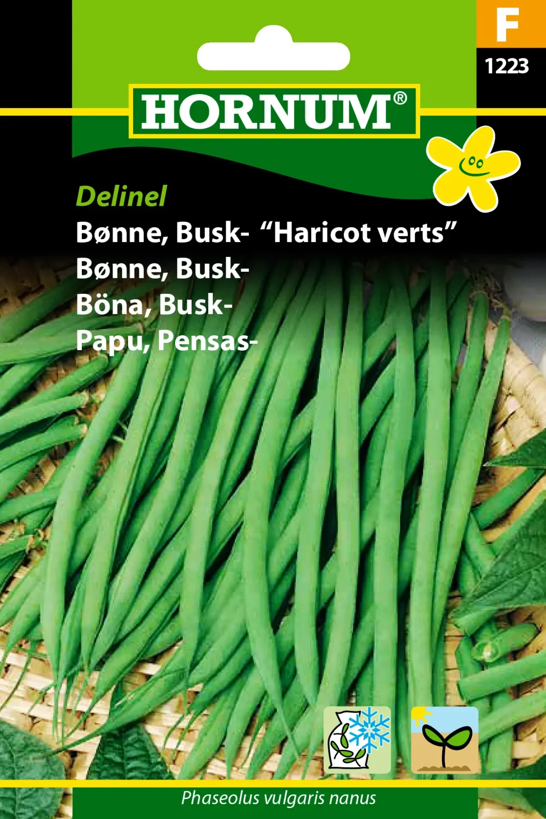Bønne, Busk-, Harricot Verts (F) 1223