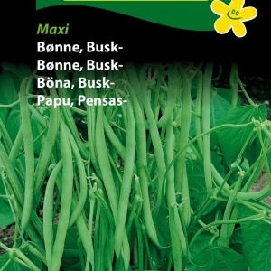 Bønne, Busk-, Maxi (F) 1225