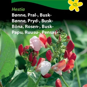 Bønne, Pral-, Hestia (D) 1387