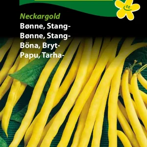 Bønne, Stang-, Neckargold ( C) 1229